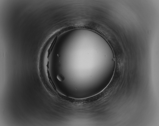 X0000093130728200710101058