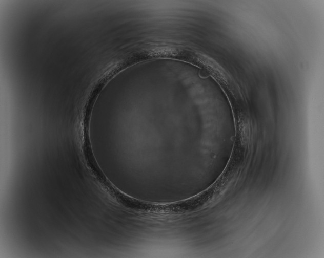 X0000093130729200710101058