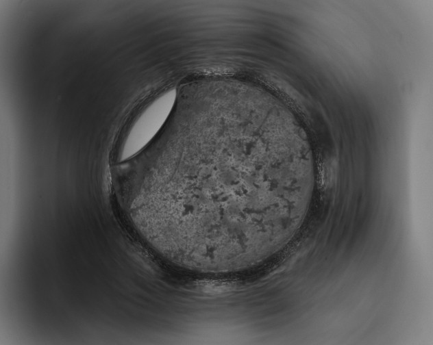 X0000093130733200710101058