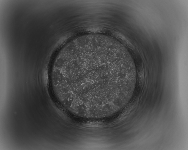 X0000093130734200710101058