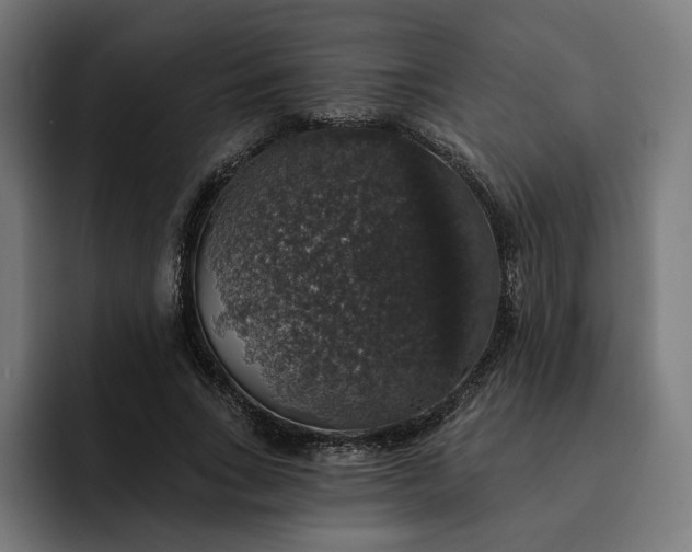 X0000093130735200710101058