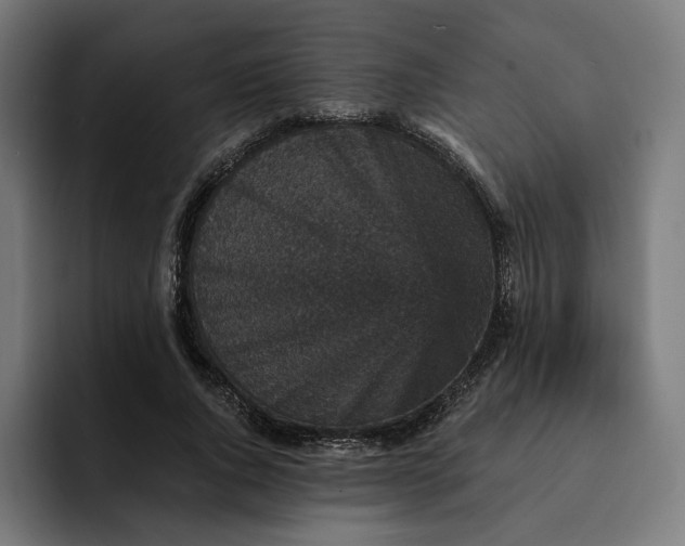 X0000093130736200710101058