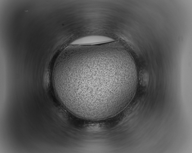 X0000093130740200710101058