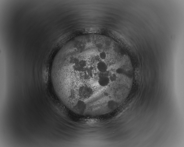 X0000093130741200710101058