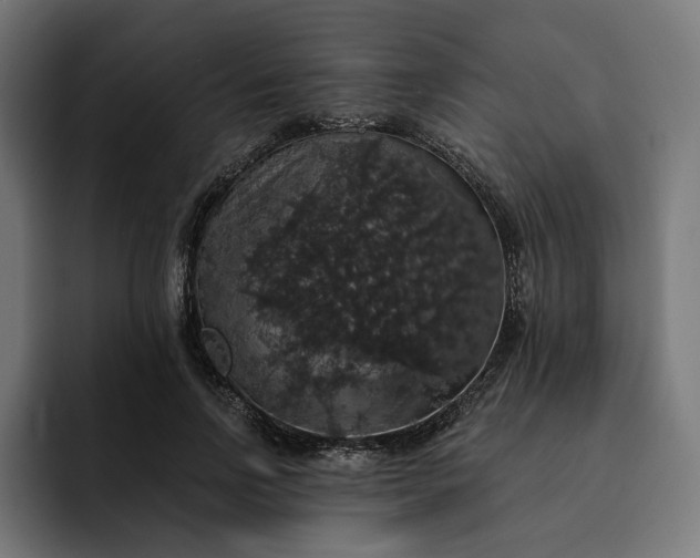 X0000093130742200710101058