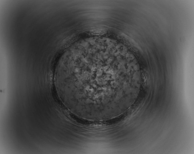 X0000093130745200710101059