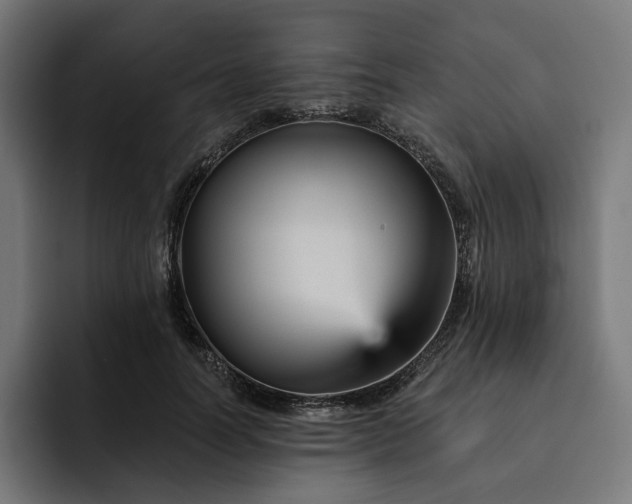 X0000093130746200710101059