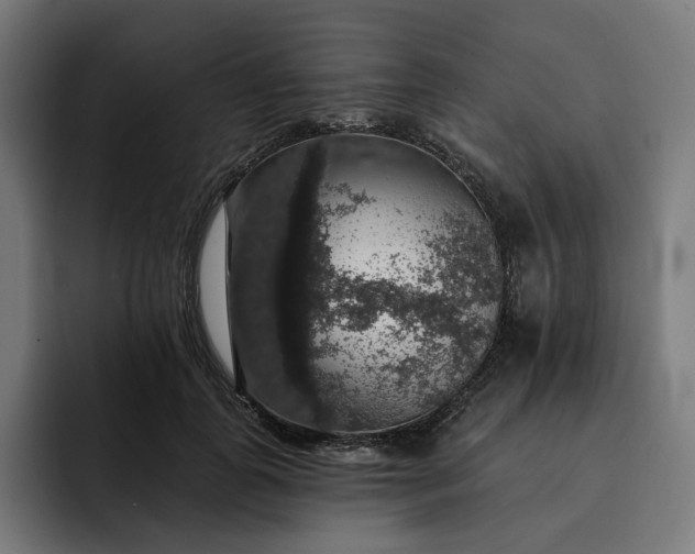 X0000093130747200710101059