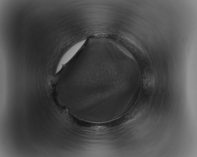 X0000093130748200710101059