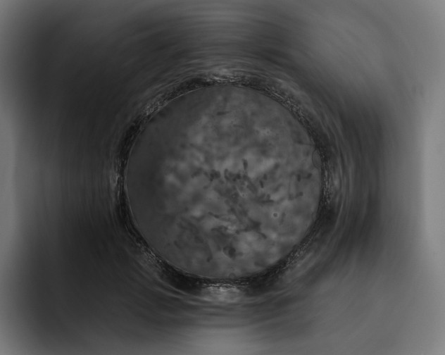 X0000093130749200710101059