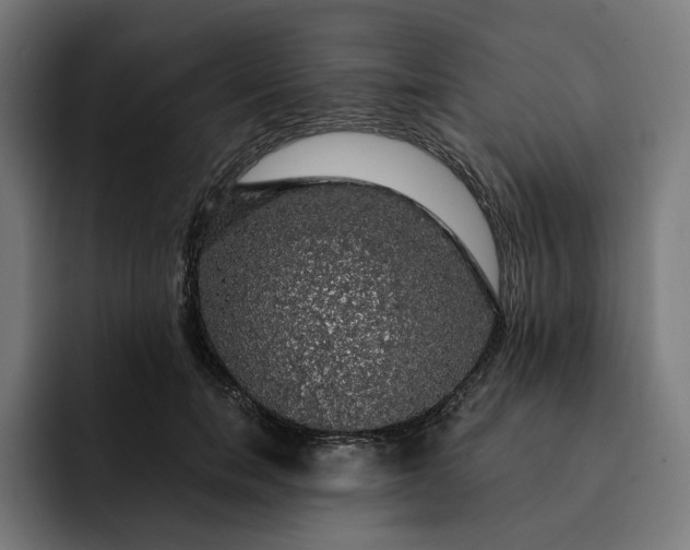 X0000093130750200710101059