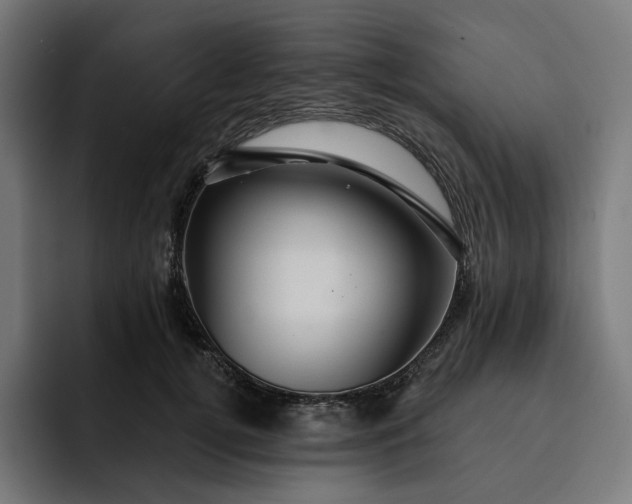 X0000093130752200710101059