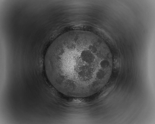 X0000093130753200710101059