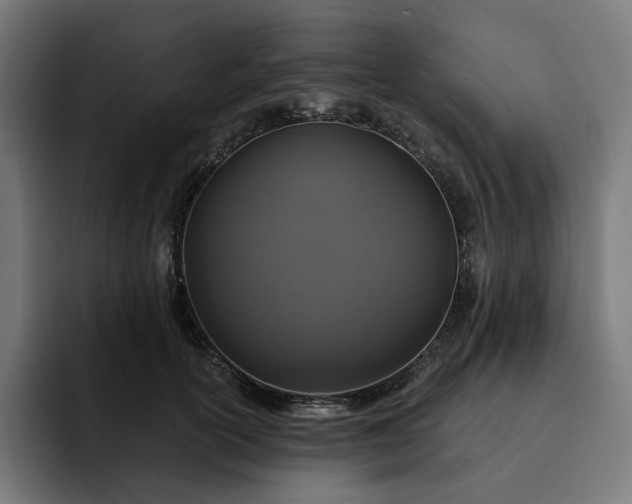 X0000093130754200710101059