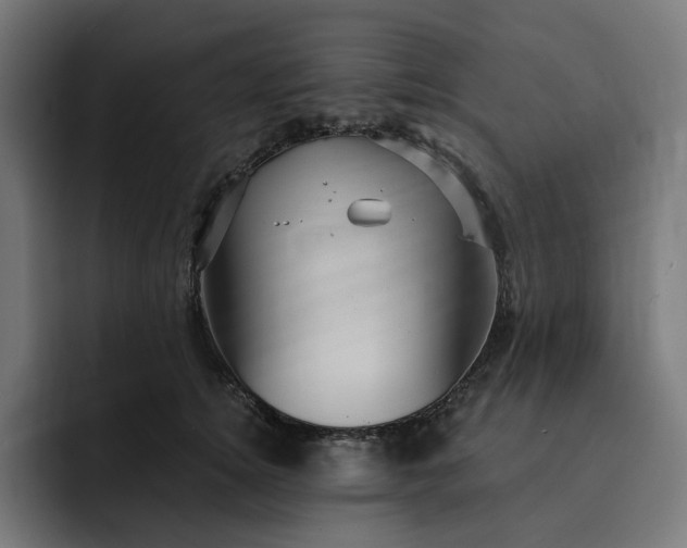 X0000093130756200710101059