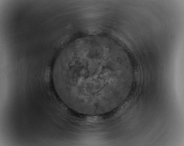 X0000093130757200710101059