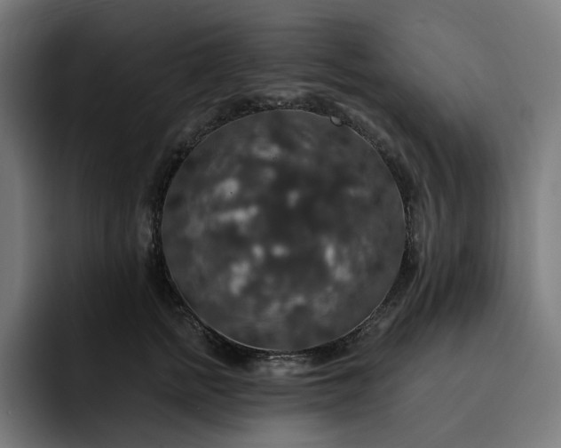 X0000093130758200710101059