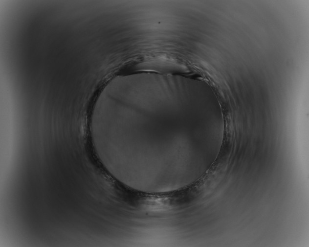 X0000093130760200710101059