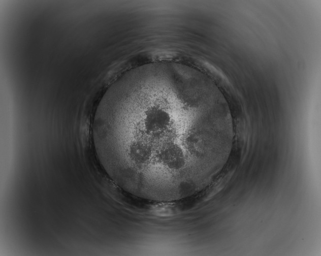 X0000093130761200710101059