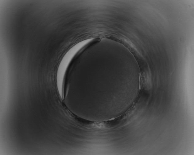 X0000093130762200710101059