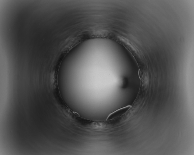 X0000093130764200710101059