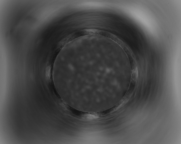 X0000093130765200710101059