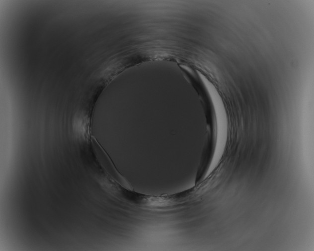 X0000093130766200710101059