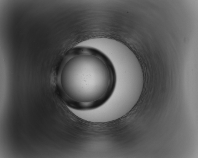 X0000093130768200710101059