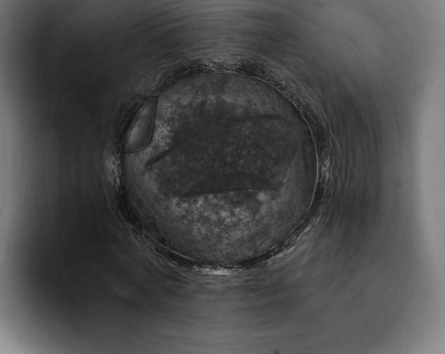 X0000093130772200710101058