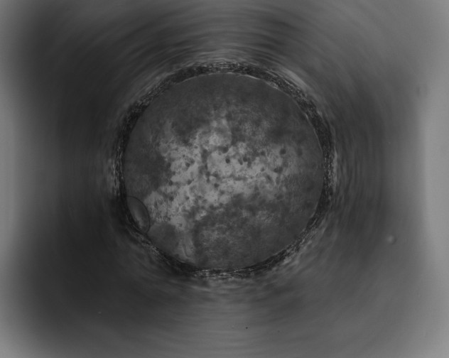 X0000093130774200710101058