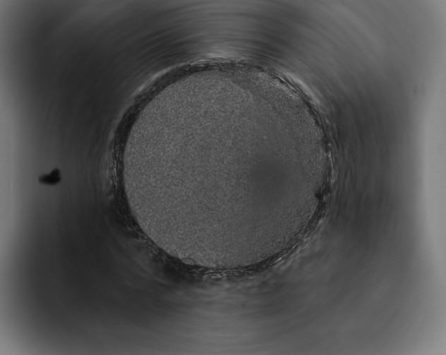 X0000093130776200710101058