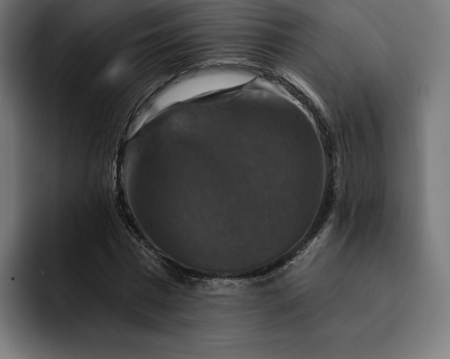 X0000093130777200710101058