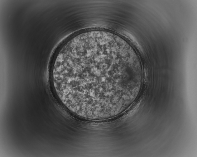 X0000093130780200710101058