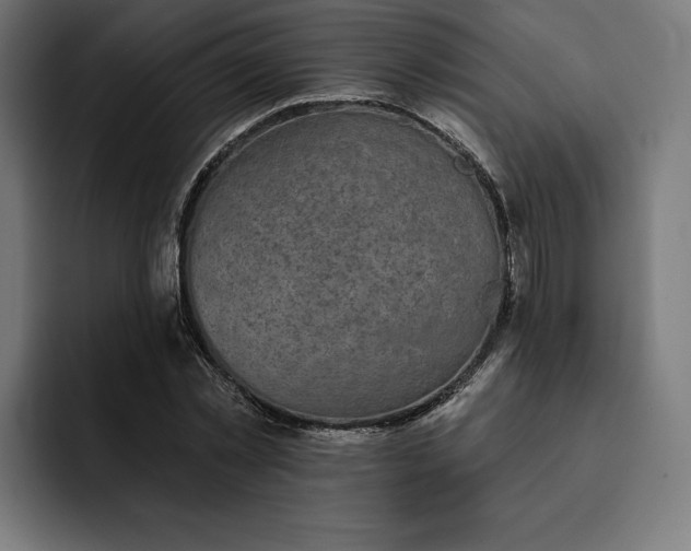 X0000093130781200710101058