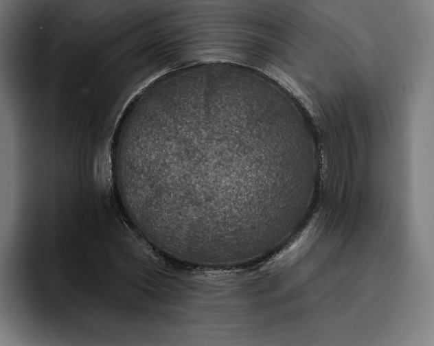 X0000093130782200710101058