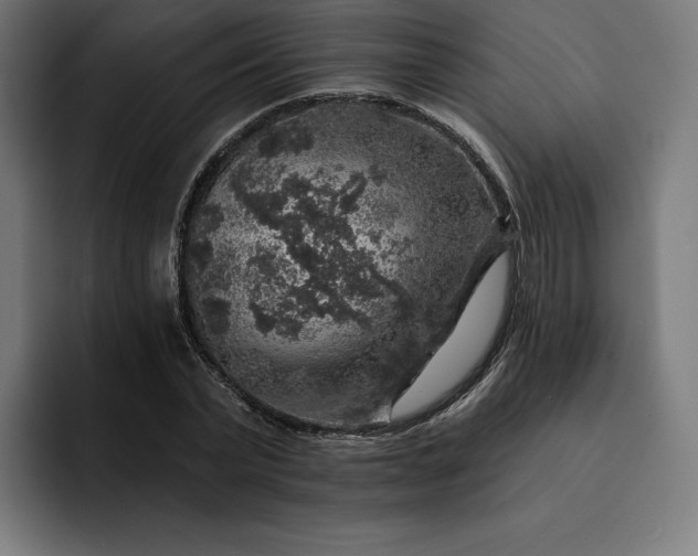 X0000093130783200710101058