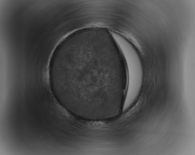 X0000093130784200710101058