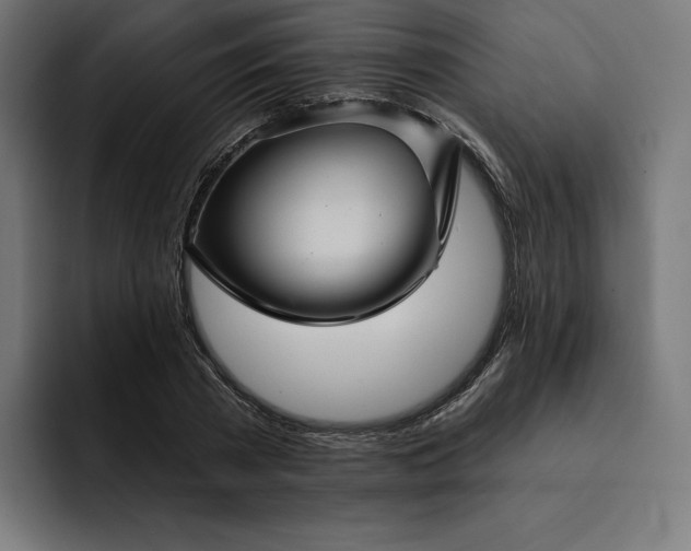 X0000093130785200710101058