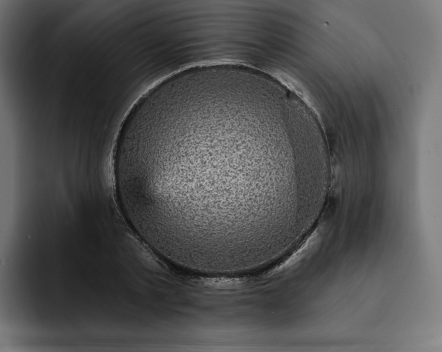 X0000093130789200710101058