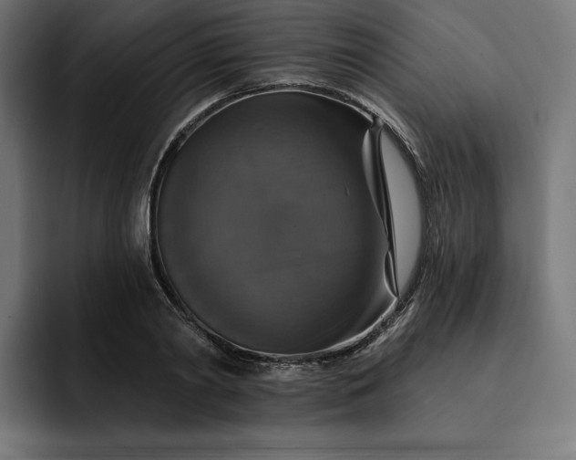 X0000093130790200710101058