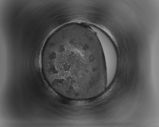 X0000093130791200710101058