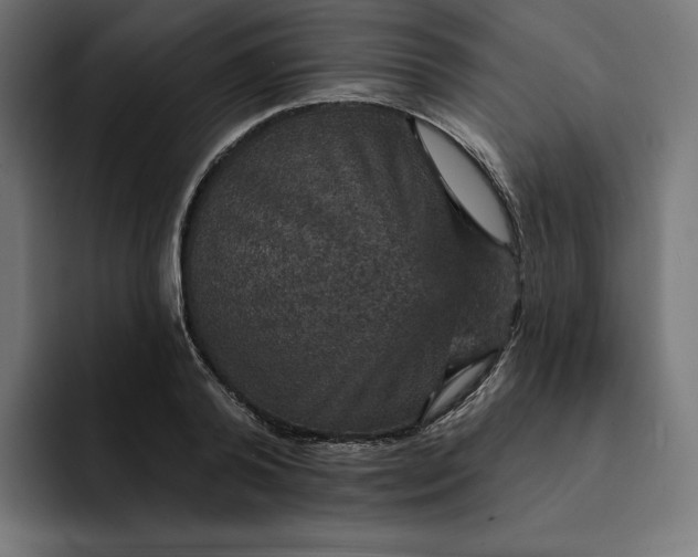 X0000093130792200710101058