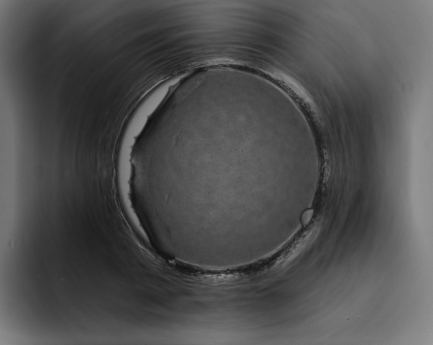 X0000093130793200710101058