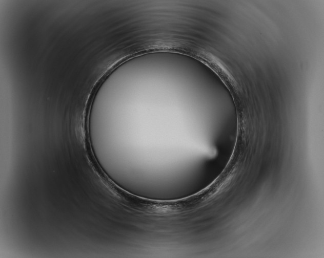 X0000093130794200710101058