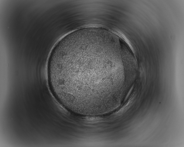 X0000093130795200710101058