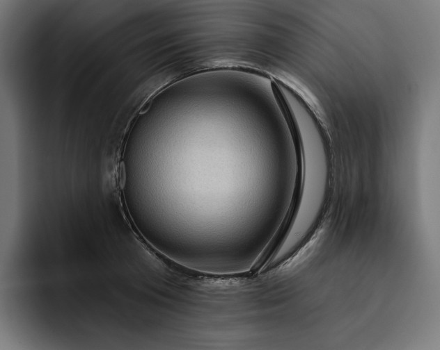 X0000093130801200710101058