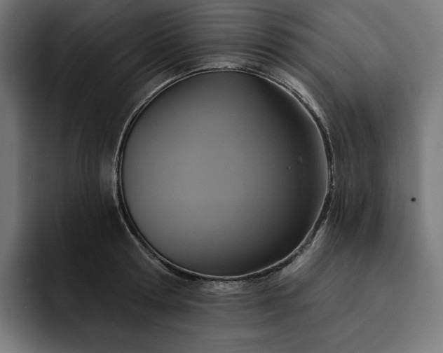 X0000093130802200710101058