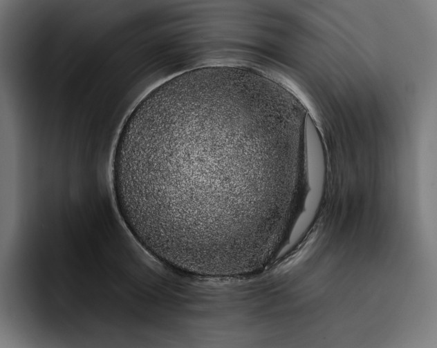 X0000093130803200710101058