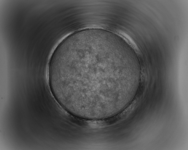 X0000093130804200710101058