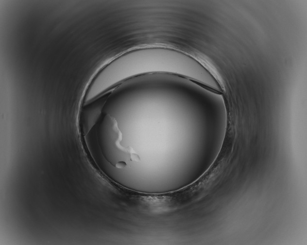 X0000093130805200710101058